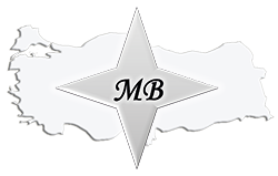 MİLLİ BİLİŞİM LOGO